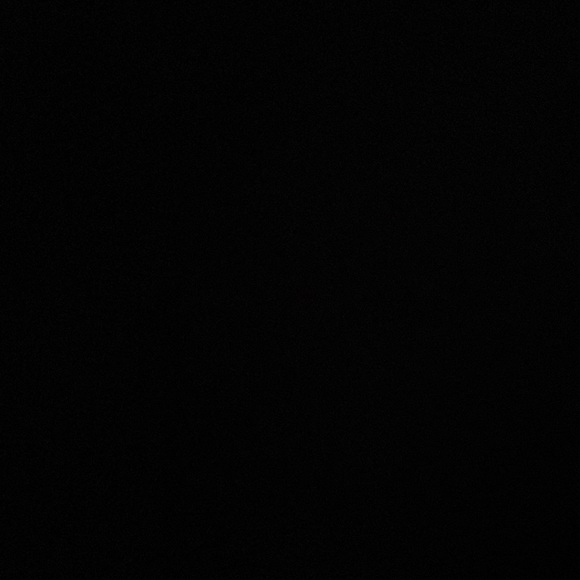 Meet your Posher, Cici - Picture 1 of 1